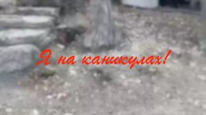 В Сочи...