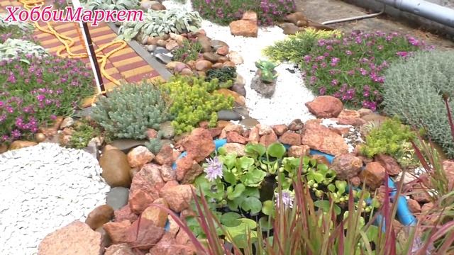 Спасаем рыбок. Жара и ливень! ХоббиМаркет смотреть онлайн