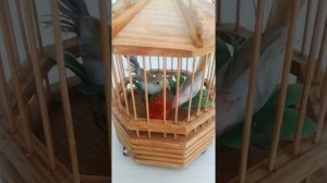 Велимир Хлебников. Птичка в клетке. (читает Екатерина Тоборовец, Заслуженная актриса ВО)