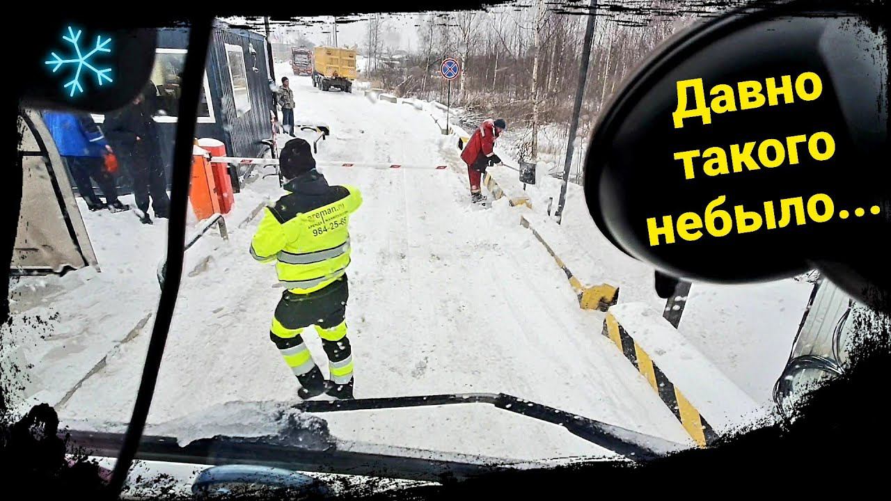 Экстренное включение)Питер завалило снегом.30.11.2021 смотреть онлайн