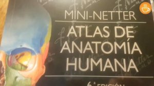 Atlas de Anatomia Humana / Netter 6ta. Ed.