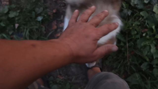 Долгожданная встреча с лайками смотреть онлайн