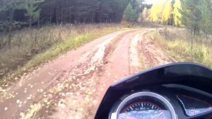 На мопеде Trickler по осеннему лесу