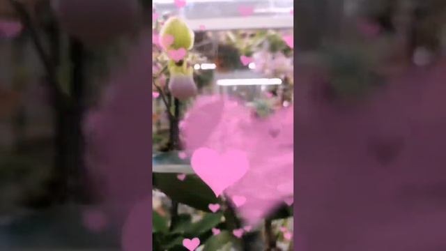 10 февраля 2024 г. смотреть онлайн