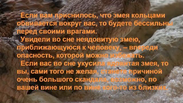 К Чему Снится ЗМЕЯ? смотреть онлайн