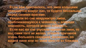 К Чему Снится ЗМЕЯ?