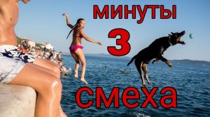 Шутки под микроскопом: смехотворный ролик. Часть 14.