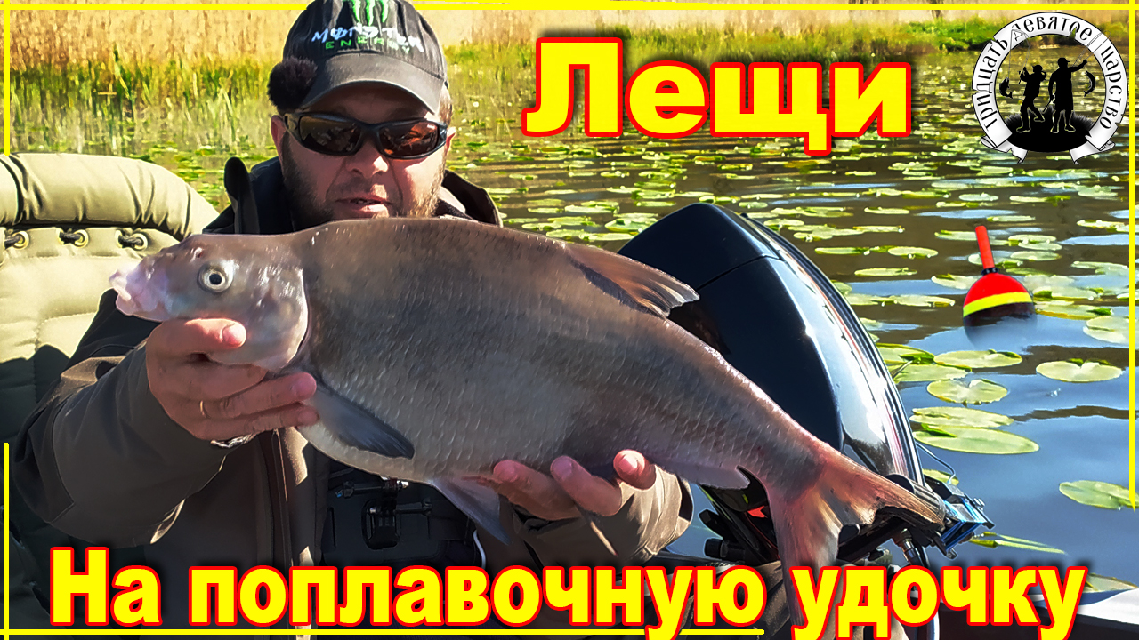 Ловля леща на поплавочную снасть.  Карась нас просто игнорирует.