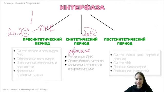 Митоз и мейоз | Биология с Юлианой Покровской ЕГЭ 2021 смотреть онлайн