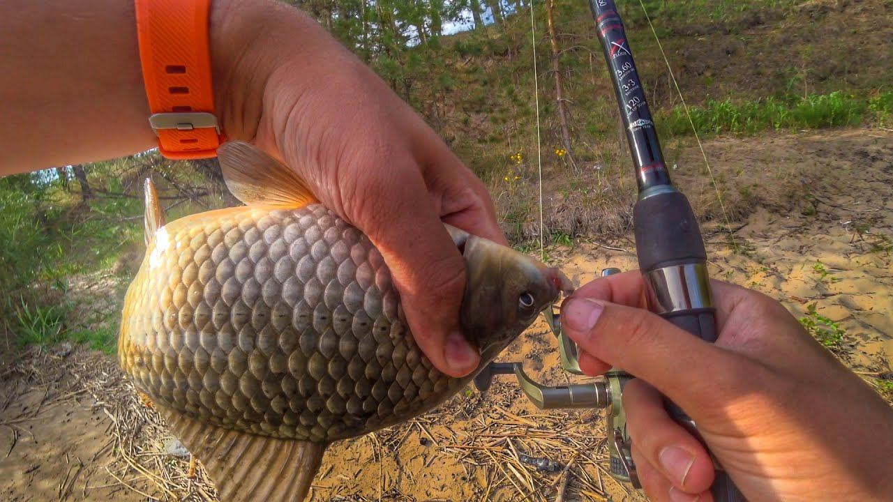 Приманки на карася весной на поплавочную удочку. Ловля карася на pop up. Ловля карасей фидером видео. Ловля карасей фидером видео. Ловля карасей фидером видео.