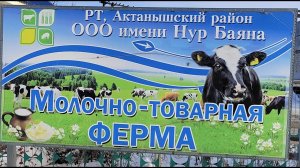 Шэф монтаж групповых поилок с подогревом в Р.Т. Актанышский район, ООО имени Нур Баяна.