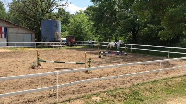 Tayra & Tango - Preponsko Stina 2018 - 60 cm смотреть онлайн