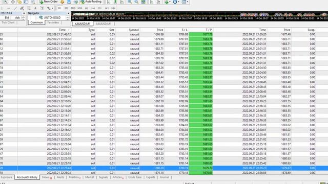 How Can AUTO Gold Scalper EA Improve Your Gold Trading Strategy? 11Weeks Auto-Trading  Bot.