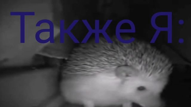 Когда хочешь чихнуть в гостях. смотреть онлайн