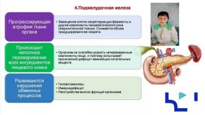 Особенности структурно-функциональных изменений органов пищеварения  в пожилом возрасте Ч2.MP4