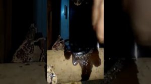 коронка биметалл зубр 44 мм . сверлим трубу