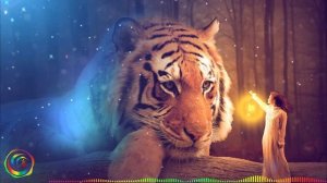 С. Астор & Алимханов А. - Не Исчезай (Rolf Kohler Extended Spacesynth Cover)