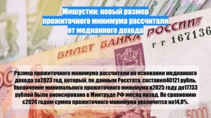 Мишустин: новый размер прожиточного минимума рассчитали от медианного дохода