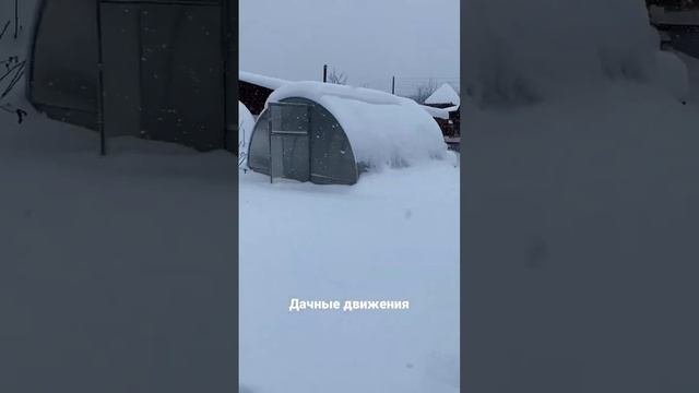 Снега ❄️ #зима #дача #snow #зимняясказка #shorts