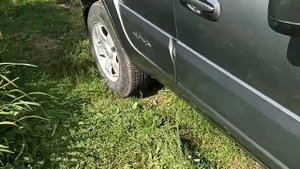 Набор из 5 накладок ручек дверей и багажника для Шевроле Нива