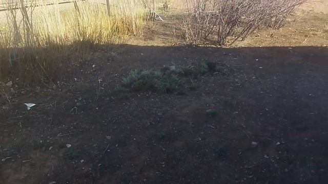 Сделали паровое отопление,привезли забор,и многие другие дела смотреть онлайн