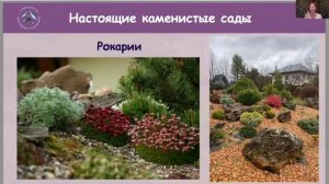 АЛЬПИЙСКИЙ САД ДЛЯ НАЧИНАЮЩИХ. ЧАСТЬ 2. НАСТОЯЩИЕ КАМЕНИСТЫЕ САДЫ