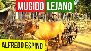 MUGIDO LEJANO ALFREDO ESPINO 🐂👨🏾🌾 | Jícaras Tristes Auras del Bohío 🌄 | Alfredo Espino Poemas