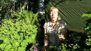 5 видов лука в моем саду / Вкусные и красивые многолетние луки / Как размножать лук