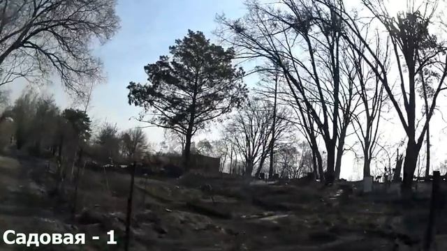 Пожары на дачах Сгорели целые улицы смотреть онлайн