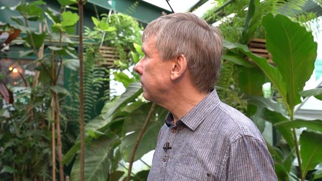 Экскурсия по тропической оранжерее в «Аптекарском огороде»