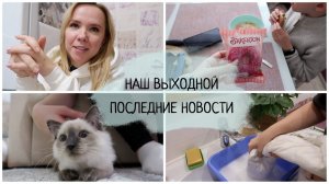 Наш выходной: последние новости / стираю белый пуховик / пополняю диа запасы