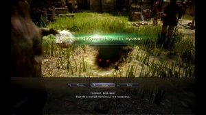 Black Desert Обзор игры,БОЖЕСТВЕННО!