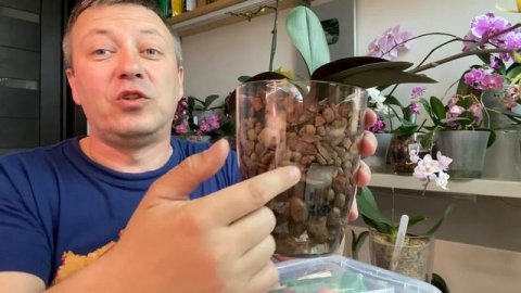 ОРХИДЕЯ после пересадки ВТОРОЙ полив орхидеи