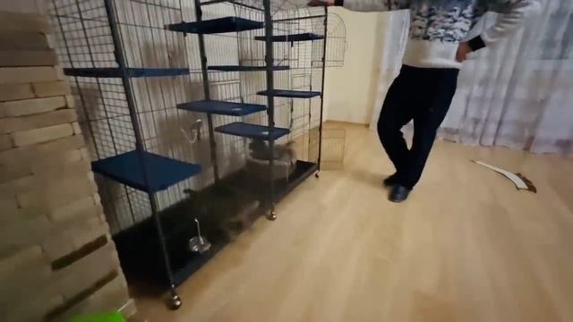 УРА! Ангелина, Люся и Соня переехали в НОВЫЙ ДОМ! смотреть онлайн