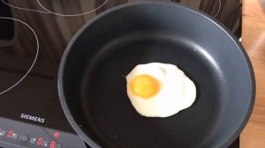 Отзыв-тест Посуда Белый Кот от AMT Gastroguss