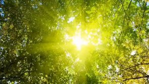 7 дом в Водолее