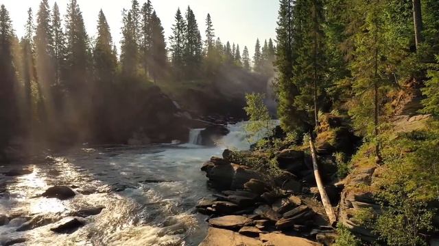 Охотники АХНУЛИ, когда наткнулись на ЭТО в лесу. Они не ожидали увидеть такое среду волков смотреть онлайн