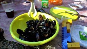 Как пожарить мидии на костре / how to cook mussels
