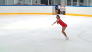 Bird`s flying high - Gaponova Aleksandra