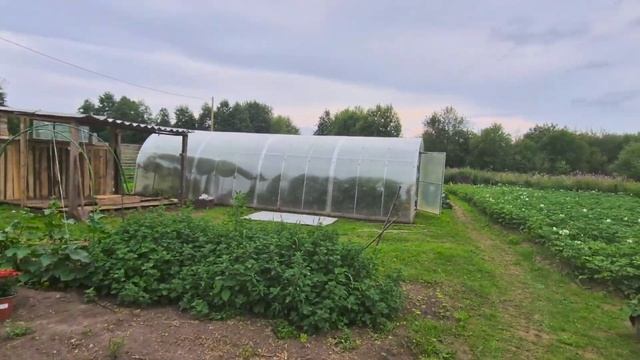 Из Германии в Россию. Немцы в Русской деревне. смотреть онлайн