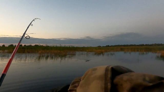НА ПОППЕР. РЫБАЛКА В ЖАБОВНИКЕ С НОЧЕВКОЙ.