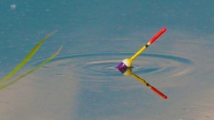 Рыбалка на поплавок в июне! На кукурузу подошел только Кукурузник!