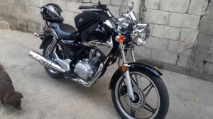 Honda shadow 150