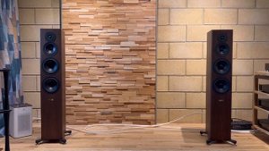 Dynaudio Focus 50 Vs Evoke 50 + Naim Uniti Nova.. #speakers #dynaudio #hifi #naim #signals_hifi