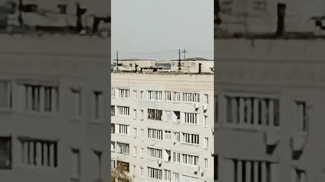 Скоро Праздник! #деньпобеды #юбилейный #юбик #косолапый #шатун #косолапыйшатун # смотреть онлайн