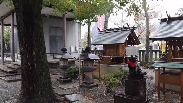 Япония, Токио. Чрезвычайное явление: сакура в снегу! смотреть онлайн