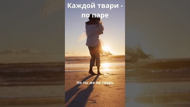 Ты хорош!