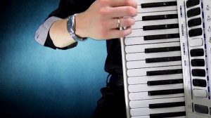 Sean Paul на Аккордеоне Cover