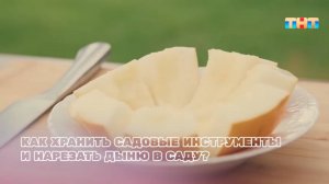 Как хранить садовые инструменты и нарезать дыню в саду?