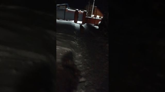 Буржуй, внук Матурхана смотреть онлайн